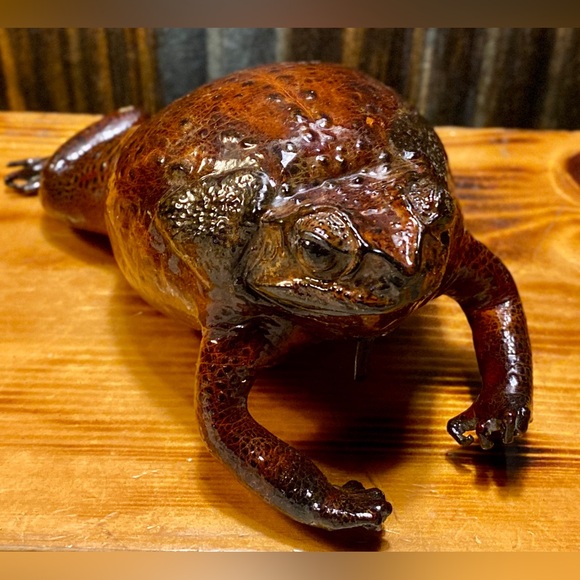 TAXIDERMY BULLFROG CHANGE PURSE - Picture 2 of 6